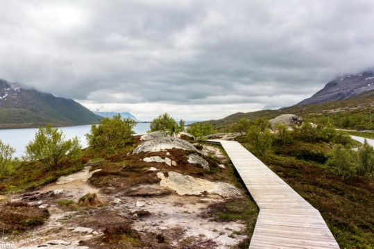 Aussichtsplattform auf Vestvågøy